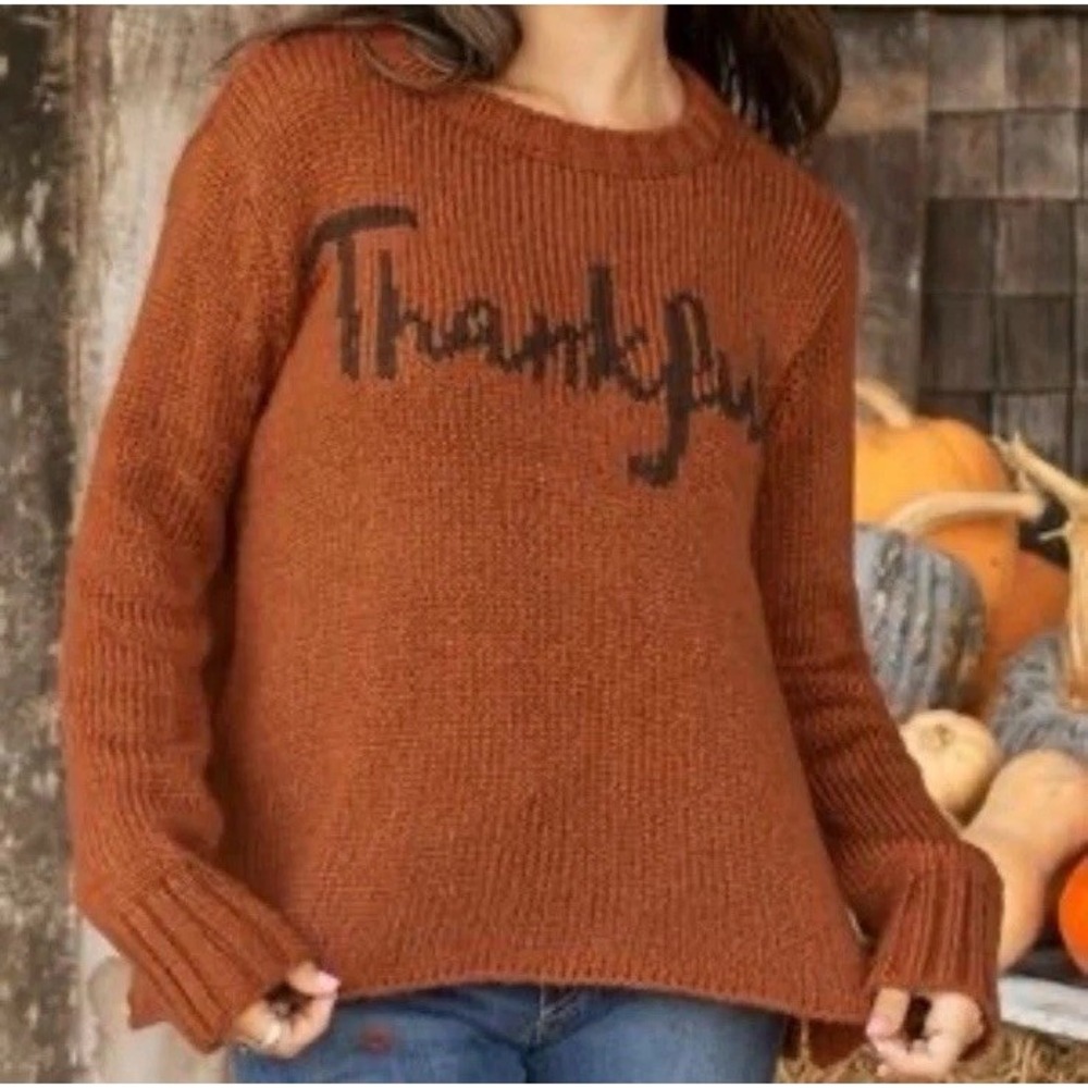 Wooden Ships Thankful Knit Sweater‎ Rust Orange Mohair Wool Blend S/M